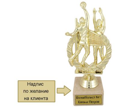 Фигура волейбол с надпис